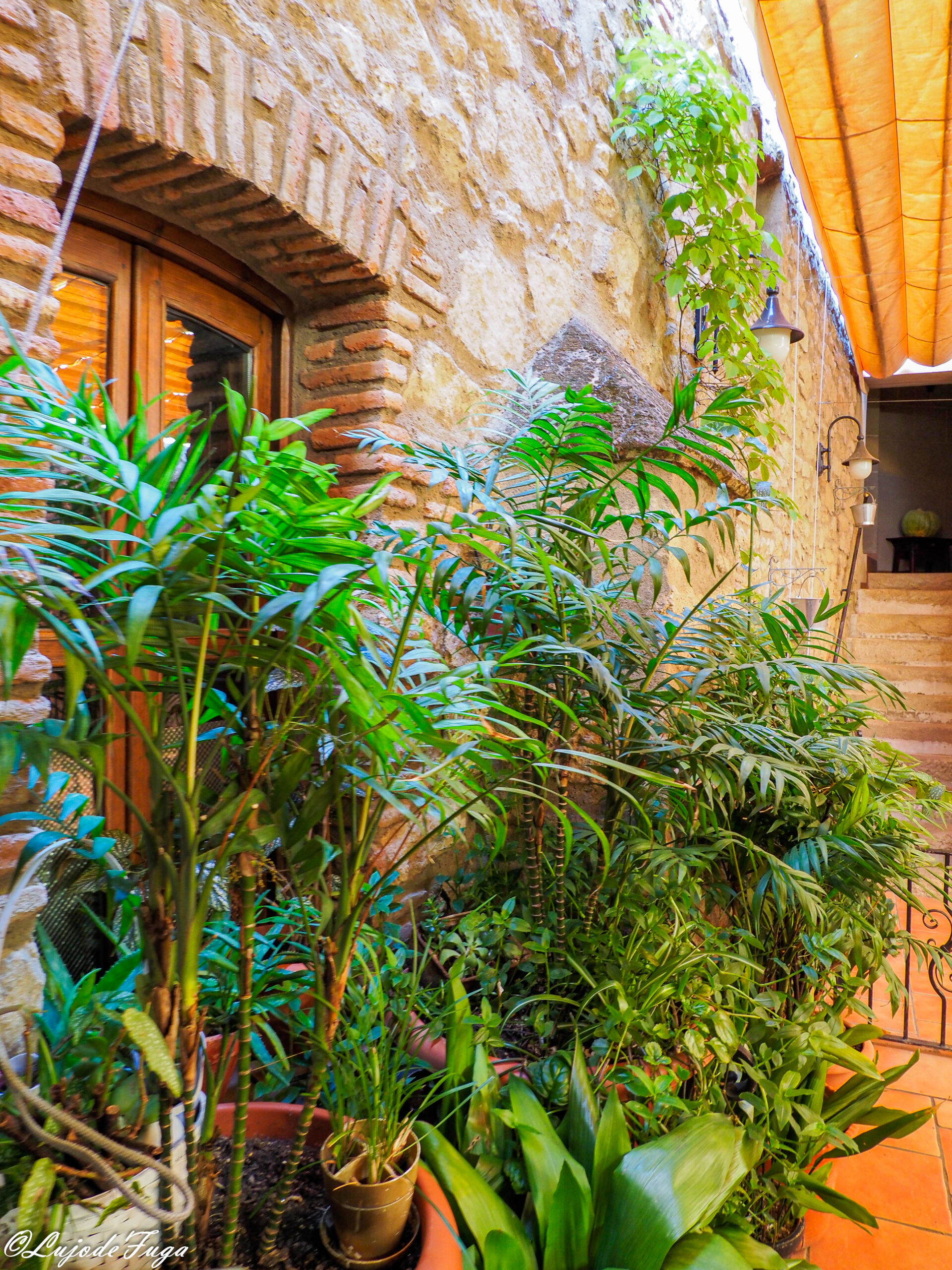 jardin jardin